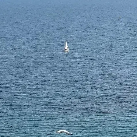公寓 Azzurro Sea View With Parking And Balcony 5 Min Walk To 贝尔杰吉